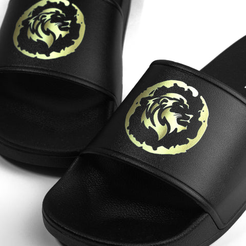 Lion Circle Slides